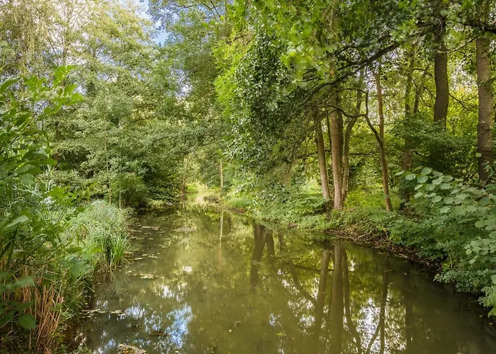 Lejlighed Adelinenhof - Ferienapartments, Fasten, Wellness & Gesundheit Burg